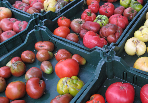 Heirloom tomatoes at Union Square Greenmarket, summer 2010.